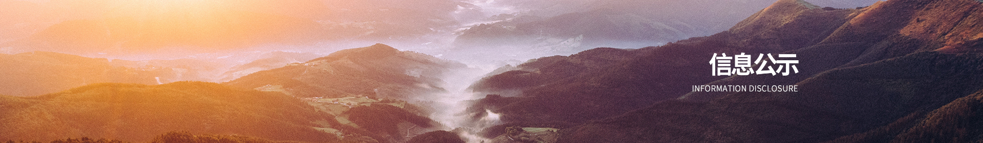 信息公开